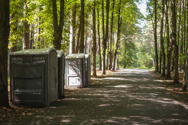 Best Affordable portable toilet rental  in Cheboygan, MI